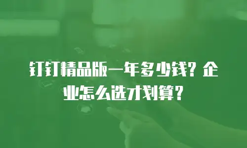 钉钉精品版一年多少钱？企业怎么选才划算？