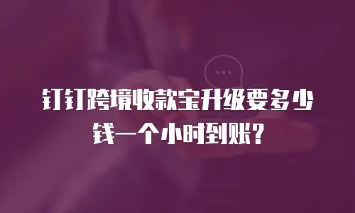 钉钉跨境收款宝升级要多少钱一个小时到账？