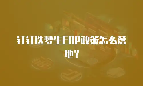 钉钉迭梦生ERP政策怎么落地？