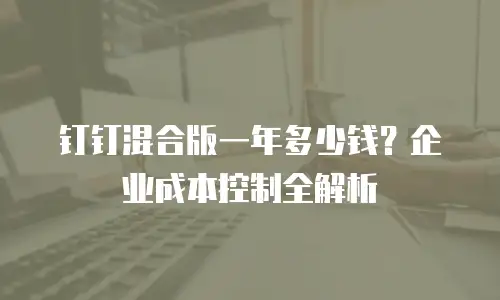 钉钉混合版一年多少钱？企业成本控制全解析