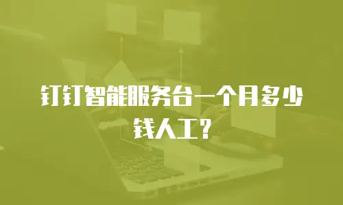 钉钉智能服务台一个月多少钱人工？
