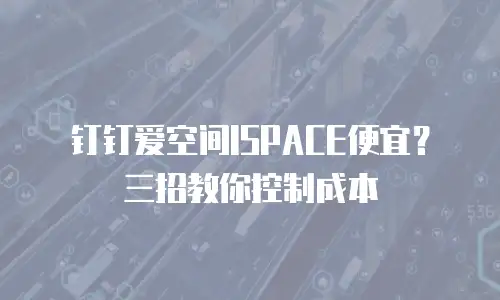 钉钉爱空间ISPACE便宜？三招教你控制成本