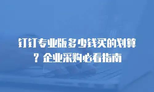 钉钉专业版多少钱买的划算？企业采购必看指南