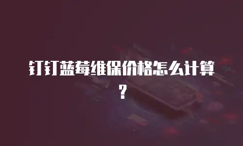 钉钉蓝莓维保价格怎么计算？