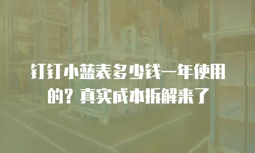 钉钉小蓝表多少钱一年使用的？真实成本拆解来了