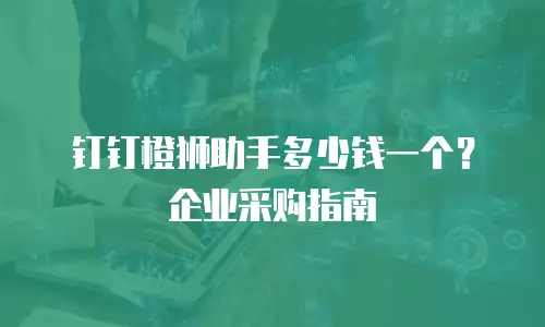 钉钉橙狮助手多少钱一个？企业采购指南
