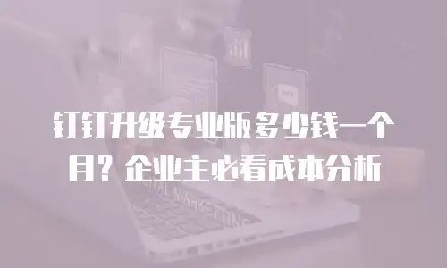 钉钉升级专业版多少钱一个月？企业主必看成本分析