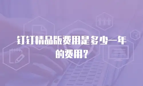 钉钉精品版费用是多少一年的费用？