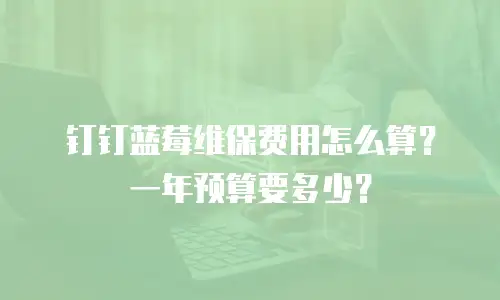 钉钉蓝莓维保费用怎么算？一年预算要多少？