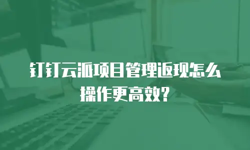钉钉云派项目管理返现怎么操作更高效？