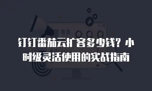 钉钉番茄云扩容多少钱？小时级灵活使用的实战指南