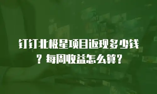 钉钉北极星项目返现多少钱？每周收益怎么算？