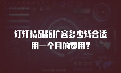 钉钉精品版扩容多少钱合适用一个月的费用？