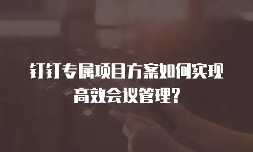 钉钉专属项目方案如何实现高效会议管理？