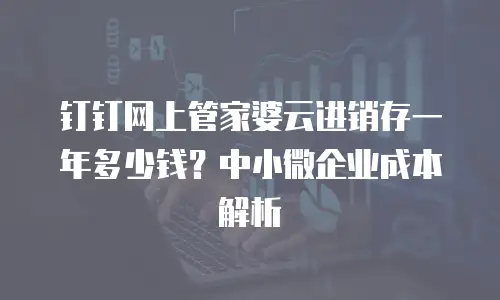 钉钉网上管家婆云进销存一年多少钱？中小微企业成本解析