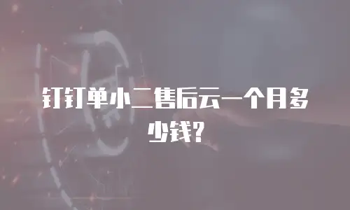 钉钉单小二售后云一个月多少钱？