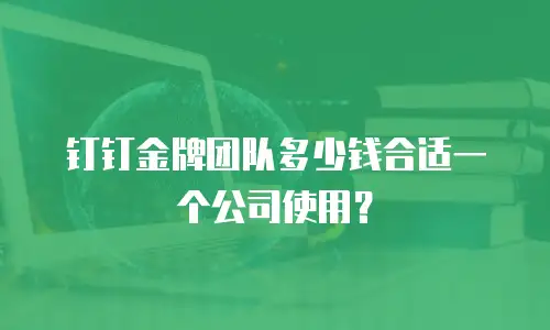 钉钉金牌团队多少钱合适一个公司使用？