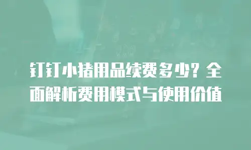 钉钉小猪用品续费多少？全面解析费用模式与使用价值