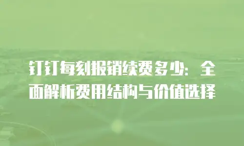 钉钉每刻报销续费多少：全面解析费用结构与价值选择