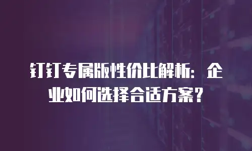 钉钉专属版性价比解析：企业如何选择合适方案？