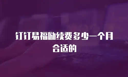 钉钉易福励续费多少一个月合适的