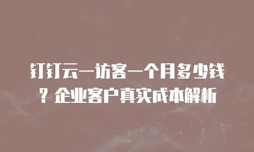 钉钉云一访客一个月多少钱？企业客户真实成本解析