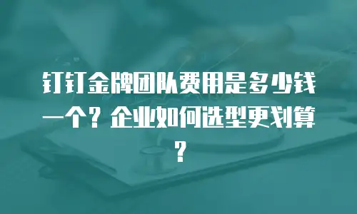 钉钉金牌团队费用是多少钱一个？企业如何选型更划算？