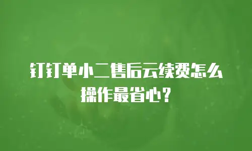 钉钉单小二售后云续费怎么操作最省心？