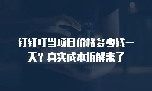 钉钉叮当项目价格多少钱一天？真实成本拆解来了