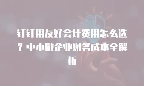 钉钉用友好会计费用怎么选？中小微企业财务成本全解析