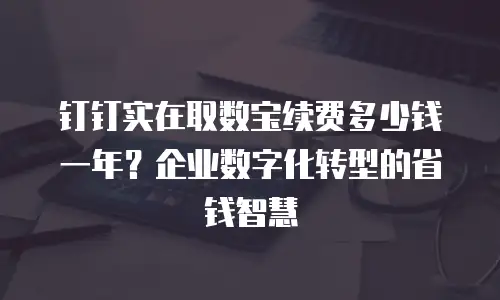 钉钉实在取数宝续费多少钱一年？企业数字化转型的省钱智慧