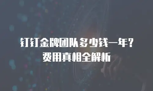 钉钉金牌团队多少钱一年？费用真相全解析