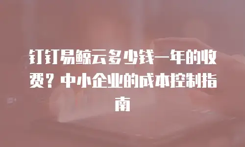 钉钉易鲸云多少钱一年的收费？中小企业的成本控制指南