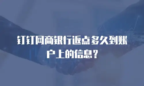 钉钉网商银行返点多久到账户上的信息？