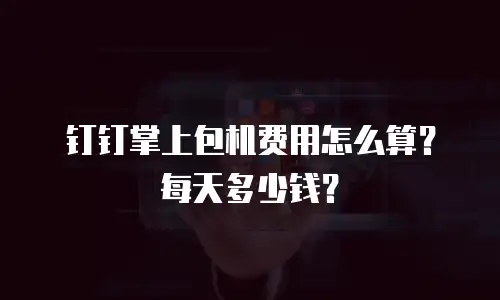 钉钉掌上包机费用怎么算？每天多少钱？