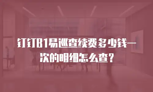 钉钉B1易巡查续费多少钱一次的明细怎么查？