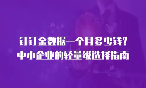 钉钉金数据一个月多少钱？中小企业的轻量级选择指南