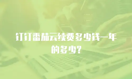 钉钉番茄云续费多少钱一年的多少？