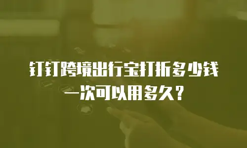 钉钉跨境出行宝打折多少钱一次可以用多久？