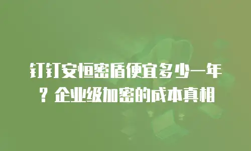 钉钉安恒密盾便宜多少一年？企业级加密的成本真相