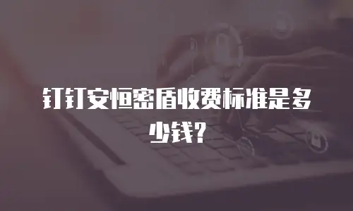钉钉安恒密盾收费标准是多少钱？