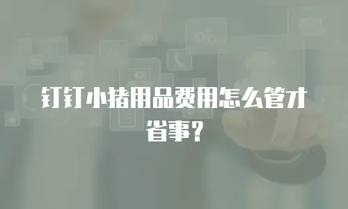 钉钉小猪用品费用怎么管才省事？