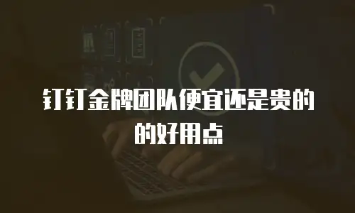 钉钉金牌团队便宜还是贵的的好用点