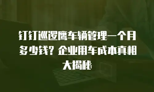 钉钉巡逻鹰车辆管理一个月多少钱？企业用车成本真相大揭秘