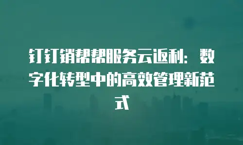 钉钉销帮帮服务云返利：数字化转型中的高效管理新范式