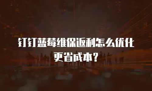 钉钉蓝莓维保返利怎么优化更省成本？
