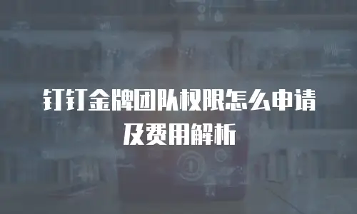 钉钉金牌团队权限怎么申请及费用解析