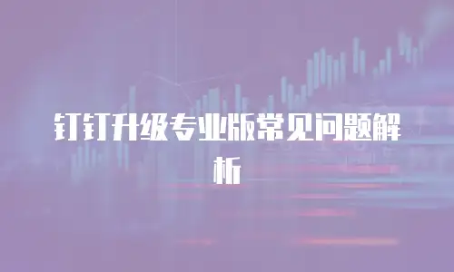 钉钉升级专业版常见问题解析