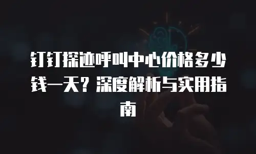钉钉探迹呼叫中心价格多少钱一天？深度解析与实用指南