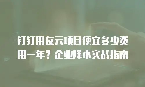 钉钉用友云项目便宜多少费用一年？企业降本实战指南